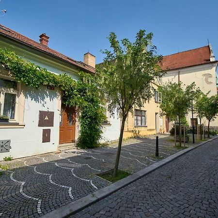 Krejcovstvi Apartment Melnik Exterior photo